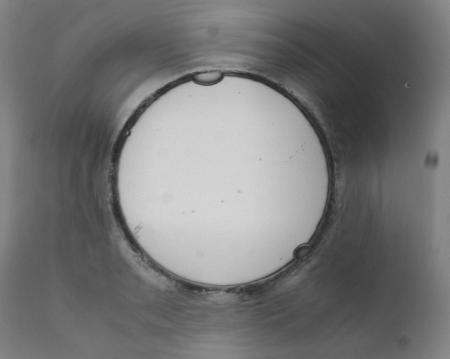 X0000111781085200908131342