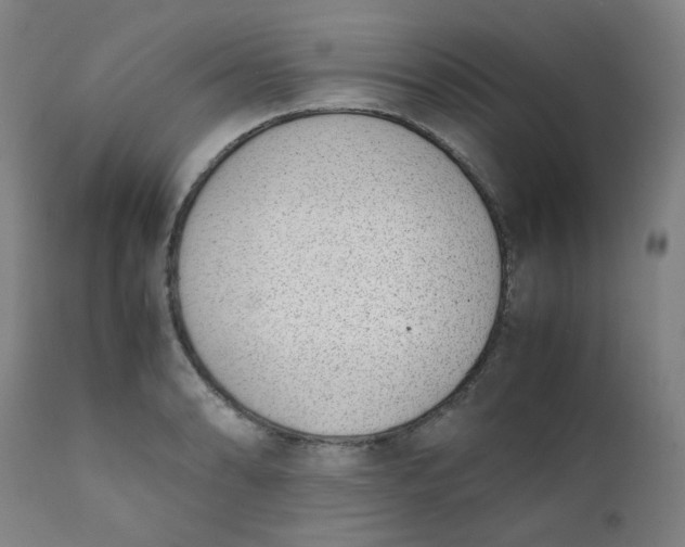 X0000111781086200908131342