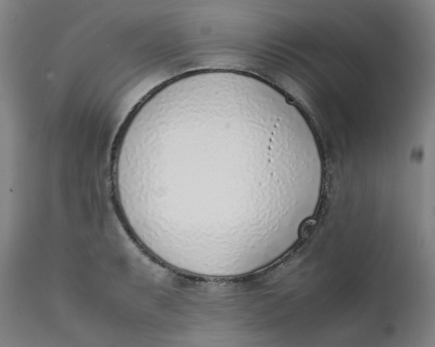 X0000111781087200908131342