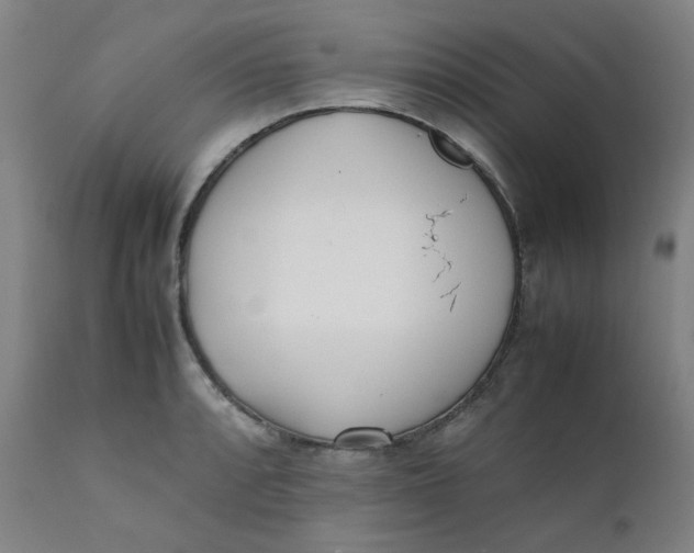 X0000111781088200908131342