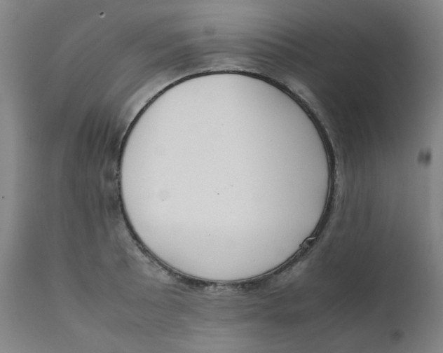 X0000111781089200908131342