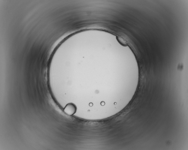 X0000111781092200908131342