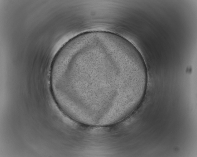 X0000111781093200908131342