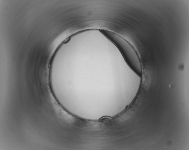 X0000111781096200908131342
