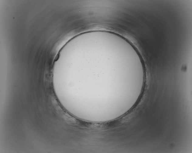 X0000111781097200908131342