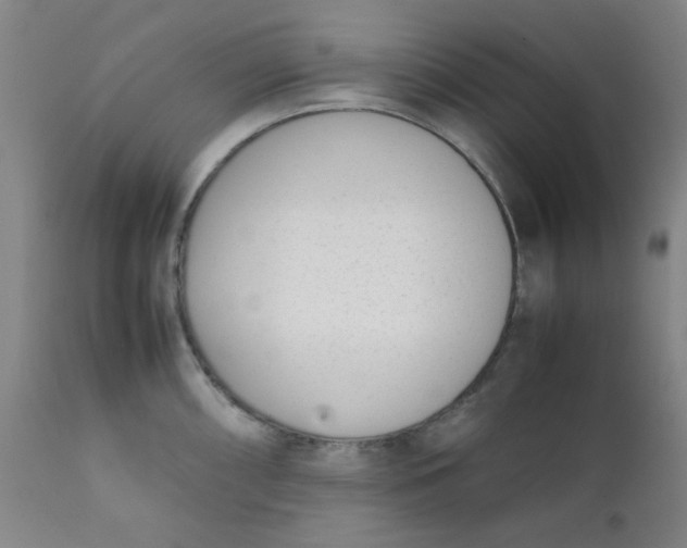 X0000111781098200908131342