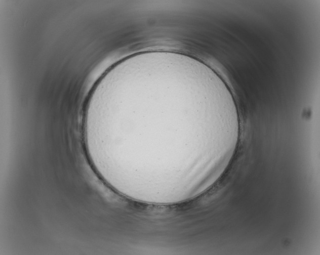 X0000111781099200908131342