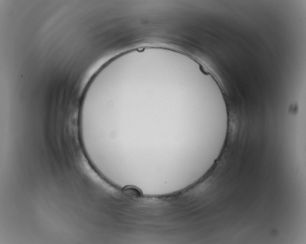 X0000111781100200908131342