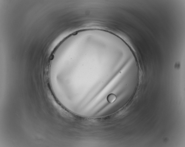 X0000111781101200908131342