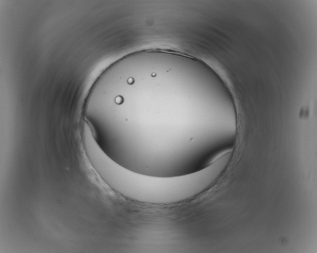 X0000111781104200908131342