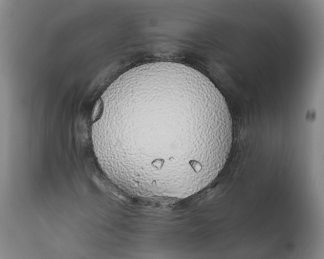 X0000111781106200908131341