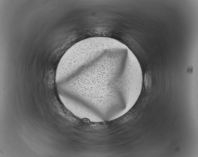 X0000111781107200908131341