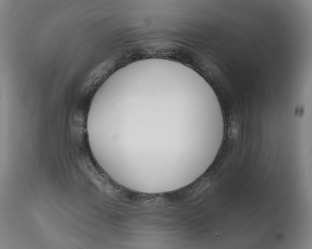 X0000111781108200908131341