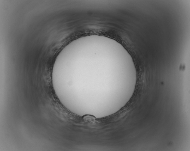 X0000111781109200908131341