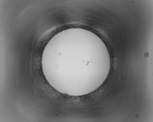 X0000111781111200908131341