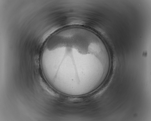 X0000111781113200908131341