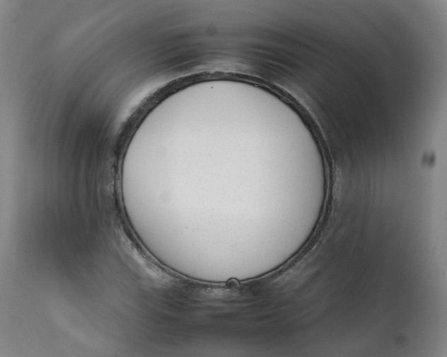 X0000111781115200908131341
