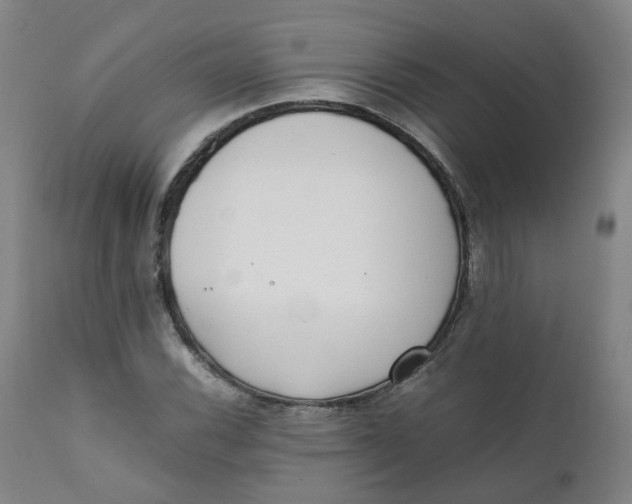X0000111781116200908131341