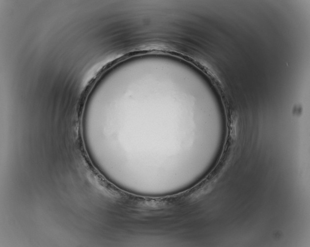 X0000111781117200908131341