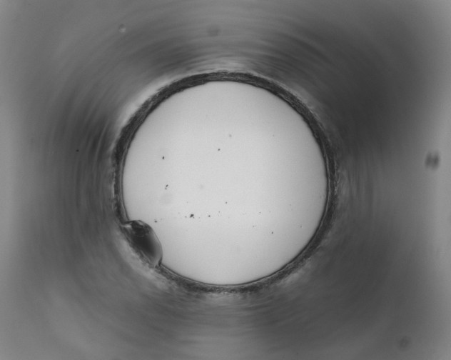 X0000111781118200908131341