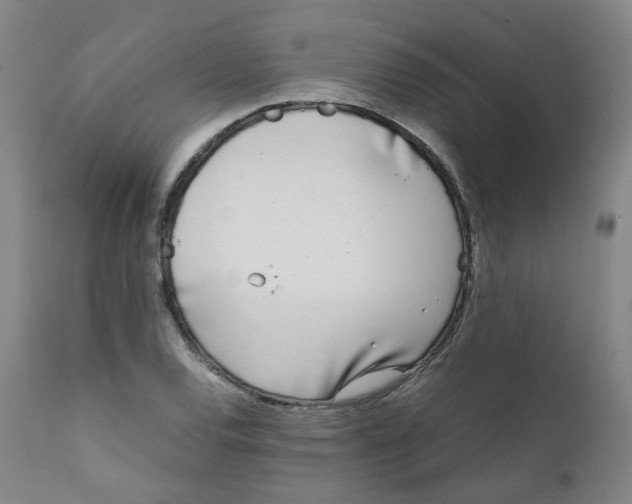 X0000111781120200908131342