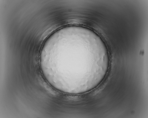 X0000111781121200908131342