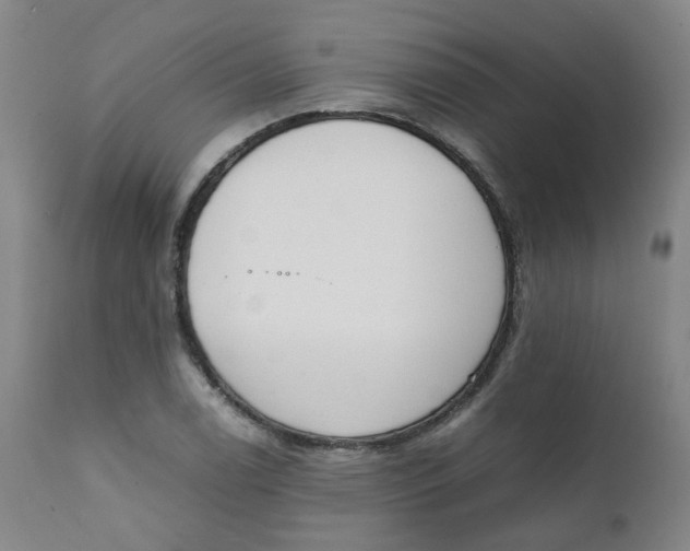 X0000111781122200908131342