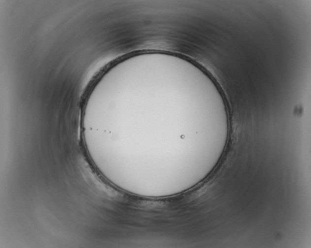 X0000111781123200908131342