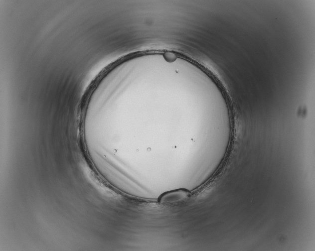 X0000111781124200908131342