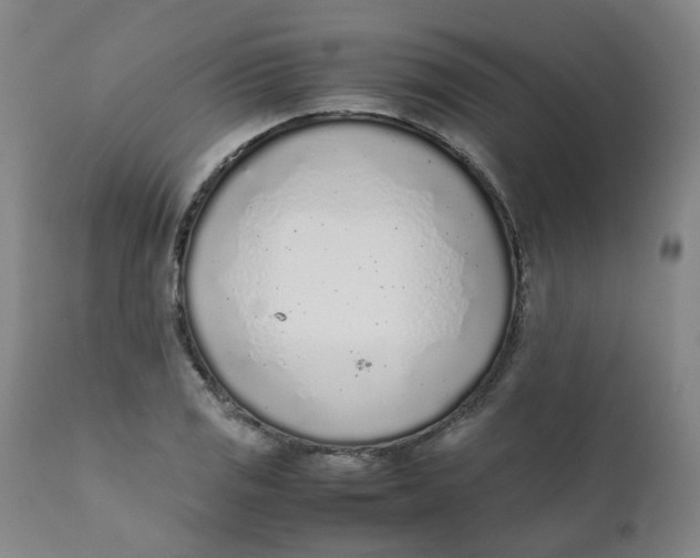 X0000111781125200908131342