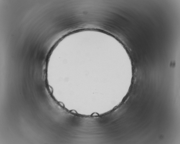 X0000111781126200908131342