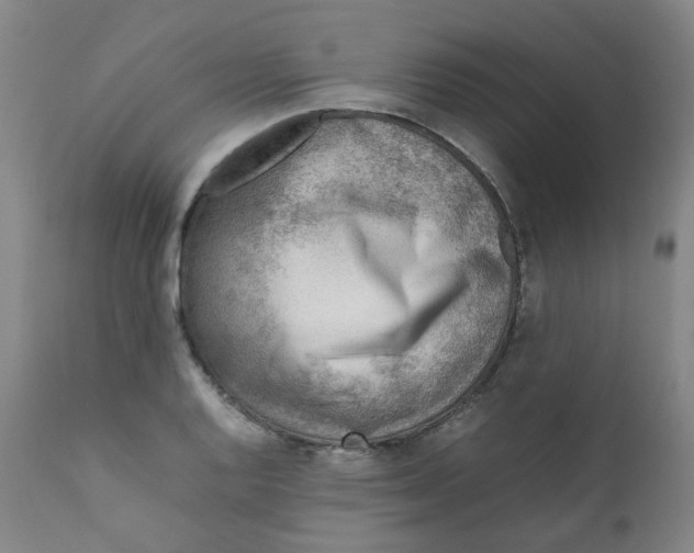 X0000111781128200908131342