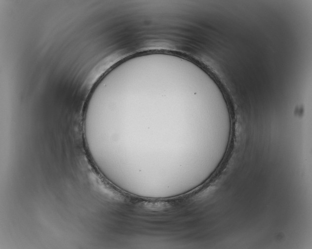 X0000111781129200908131342