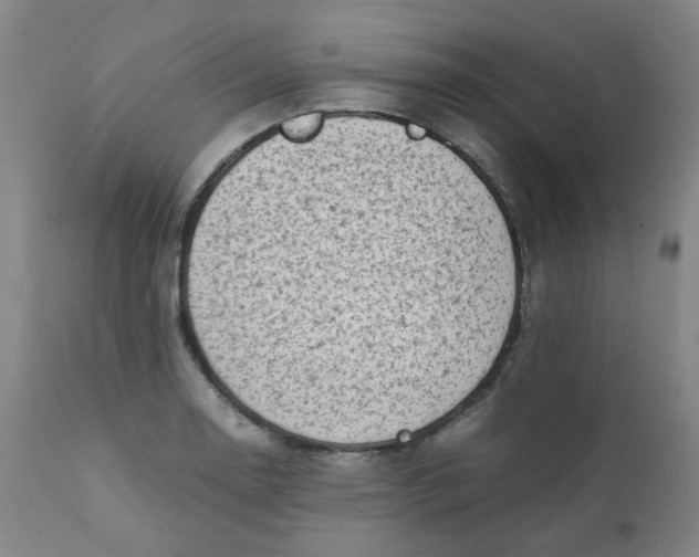 X0000111781130200908131342