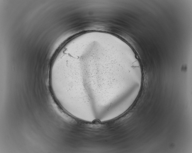 X0000111781131200908131342