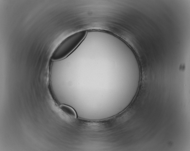 X0000111781132200908131342