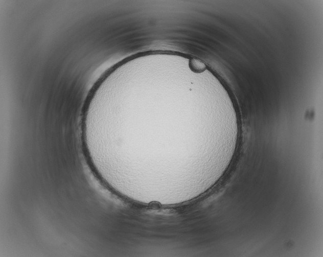 X0000111781133200908131342