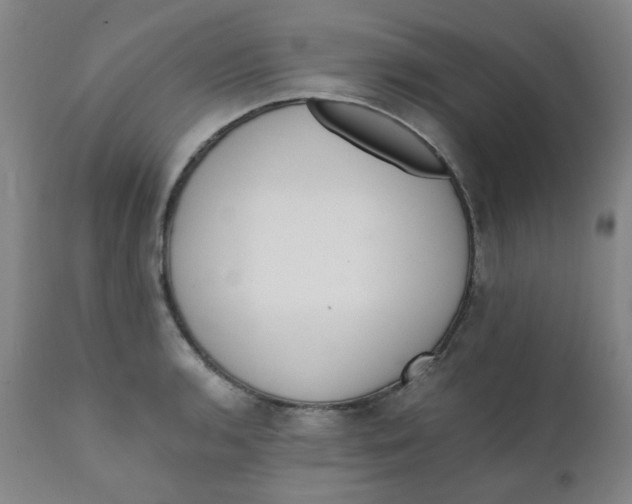 X0000111781136200908131342