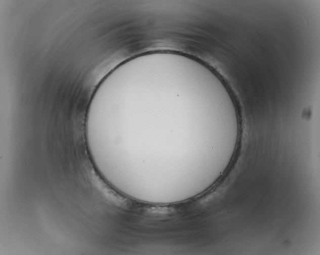 X0000111781137200908131342
