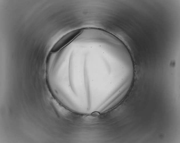 X0000111781140200908131342