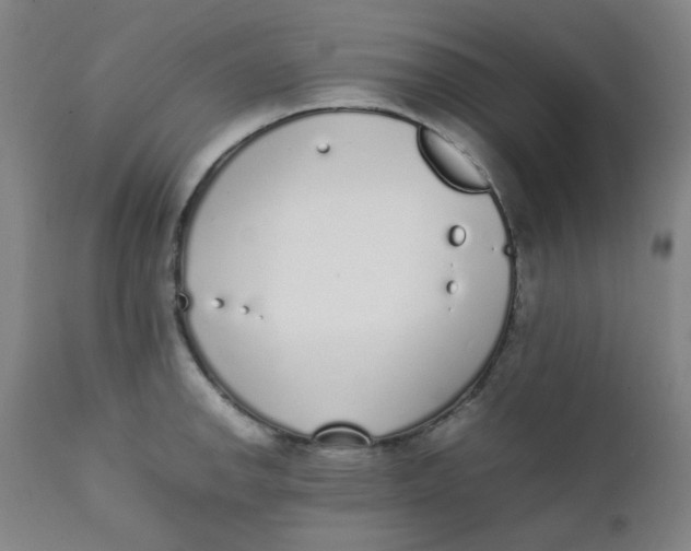 X0000111781142200908131342