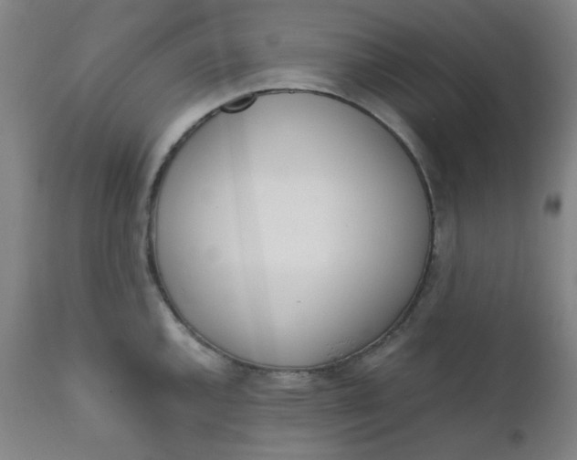 X0000111781144200908131342