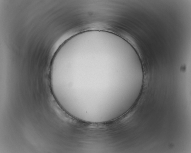 X0000111781146200908131342