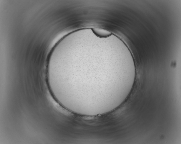 X0000111781147200908131342