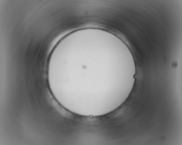 X0000111781148200908131342