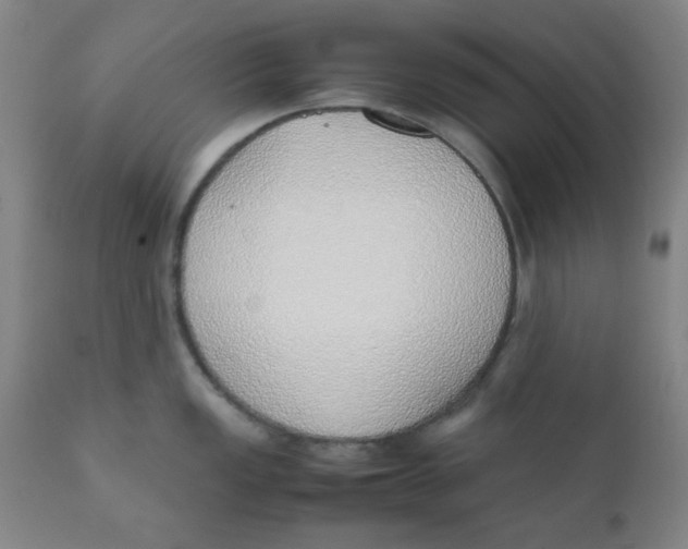 X0000111781149200908131342
