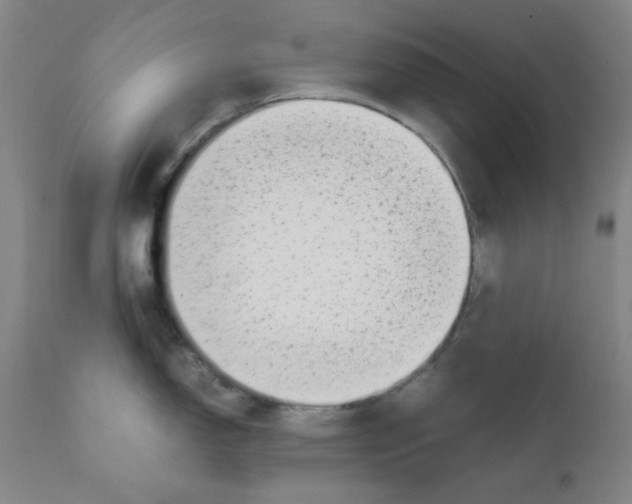 X0000111781150200908131342