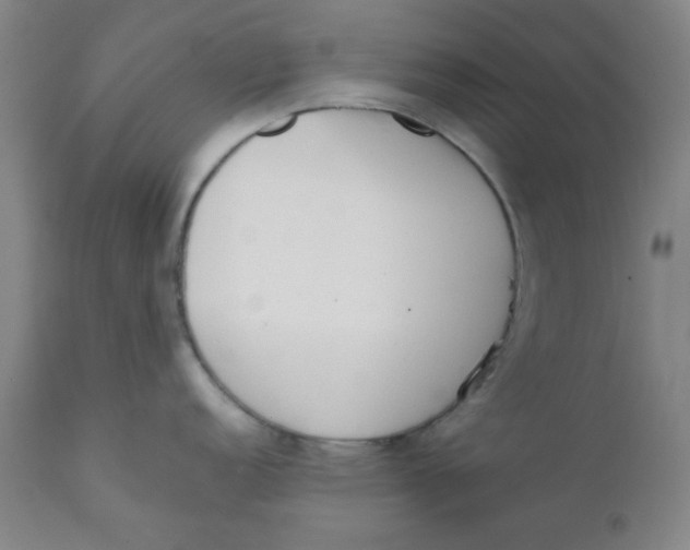 X0000111781152200908131342