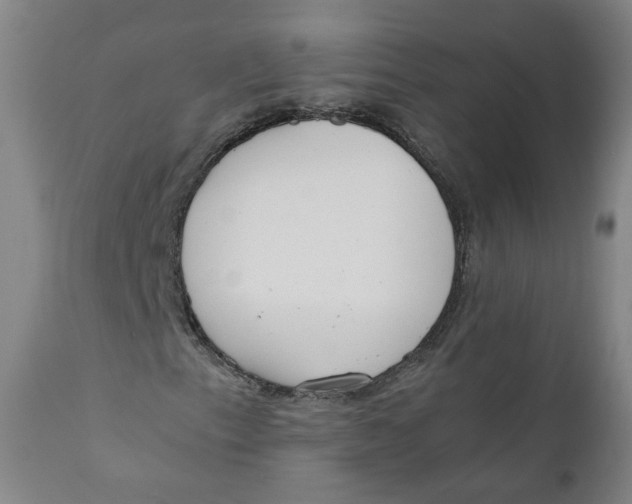 X0000111781153200908131341