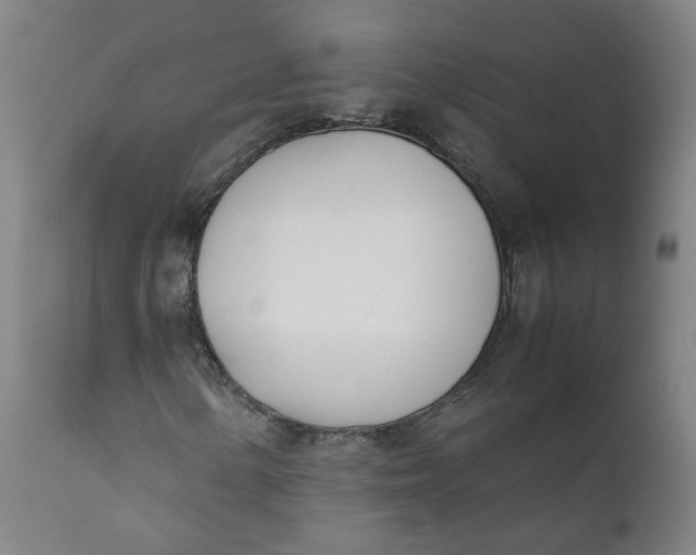 X0000111781154200908131341